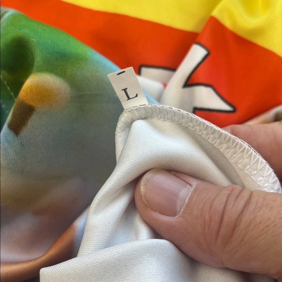 Ramen Noodles Chicken Flavoured Men’s Size Large Hoodie Pre Owned - Picture 9 of 9